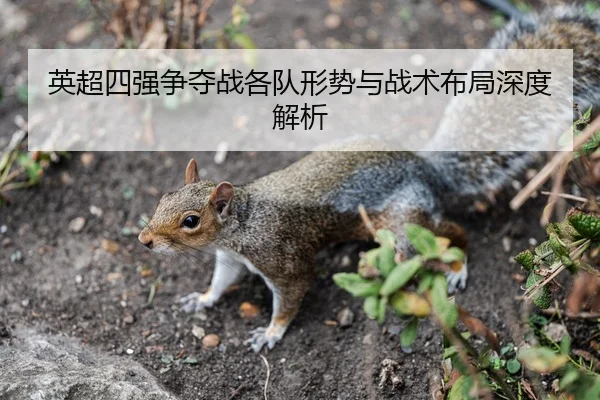 英超四强争夺战各队形势与战术布局深度解析